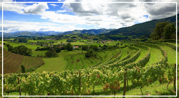 Kardeşin borcu nedeniyle ortak arsa haczedilir mi?